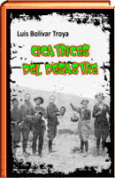 CICATRICES DEL DESASTRE